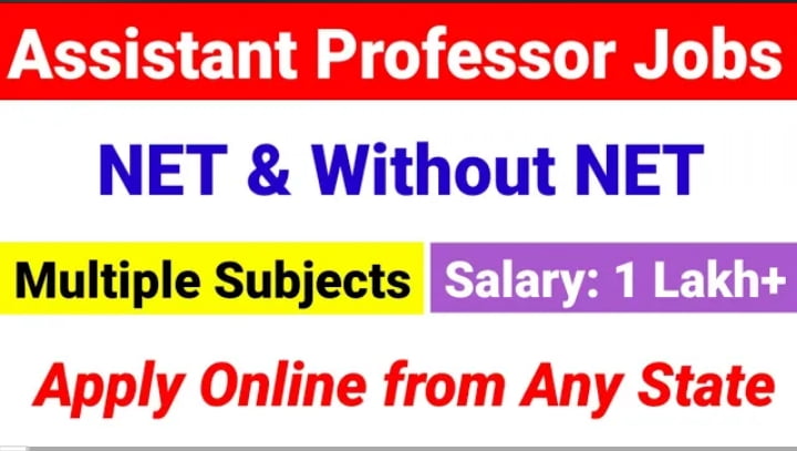 University Assistant Professor 24 - 